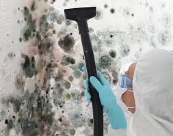 Reliable Powell, AL Mold Removal Solutions